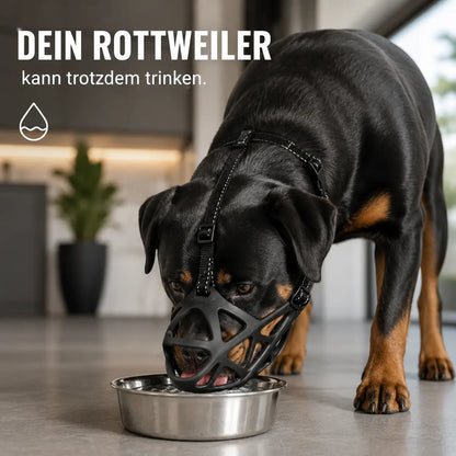 Hundemaulkorb Anwendungsszenarien