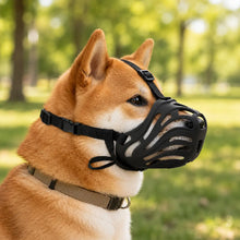 Hundemaulkorb Hauptbild 