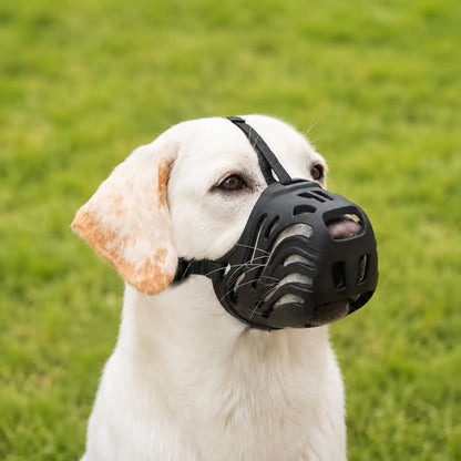 Hundemaulkorb Außenbereich 