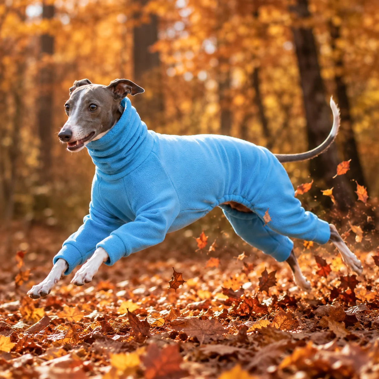 Hundepullover_Winter