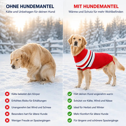 Hundemantel Problem & Lösung