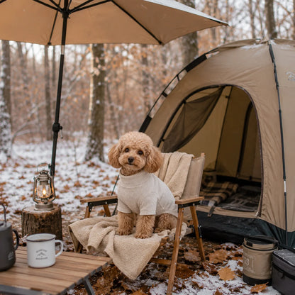 Hundepullover Winter | Warmer Sweater für kleine & kurzbeinige Hunde