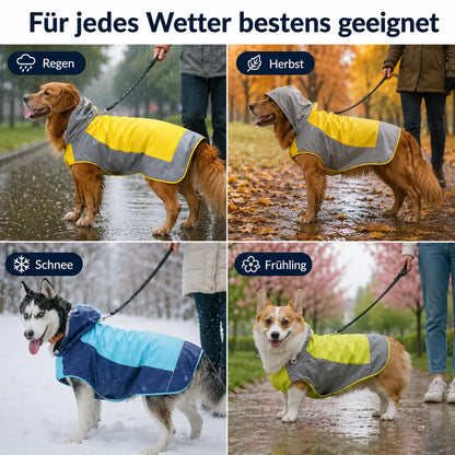 Hunderegenmantel Anwendungsszenarien 