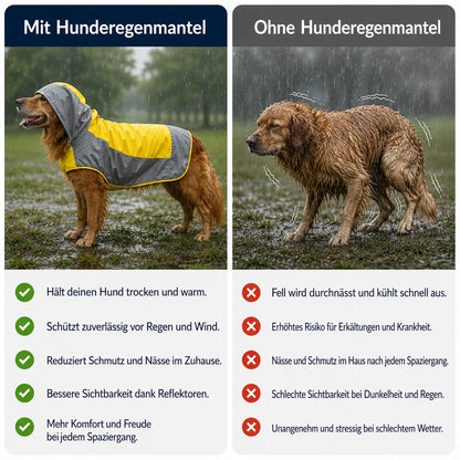 Hunderegenmantel Problem & Lösung