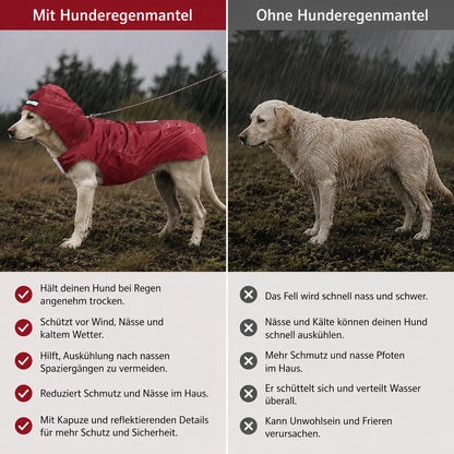 Hunderegenmantel Problem & Lösung