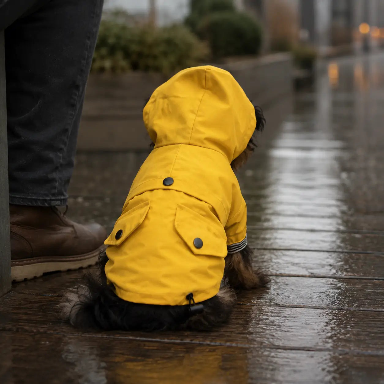 Hunderegenmantel wasserdicht | Regenjacke mit Kapuze für Hunde