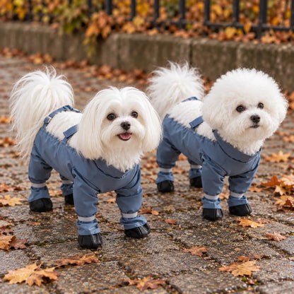 Hundeschuhe