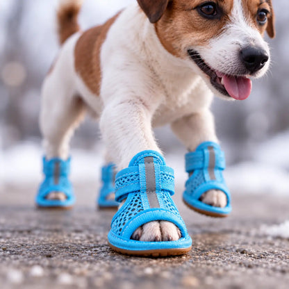 Hundeschuhe Hauptbild