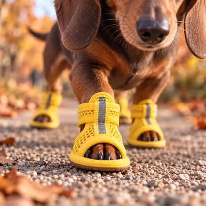Hundeschuhe Lifestyle-Bild