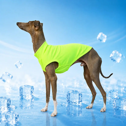 Hundeshirt Hauptbild 