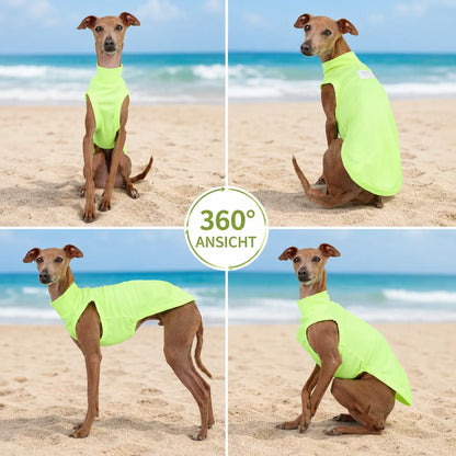 Hundeshirt 360