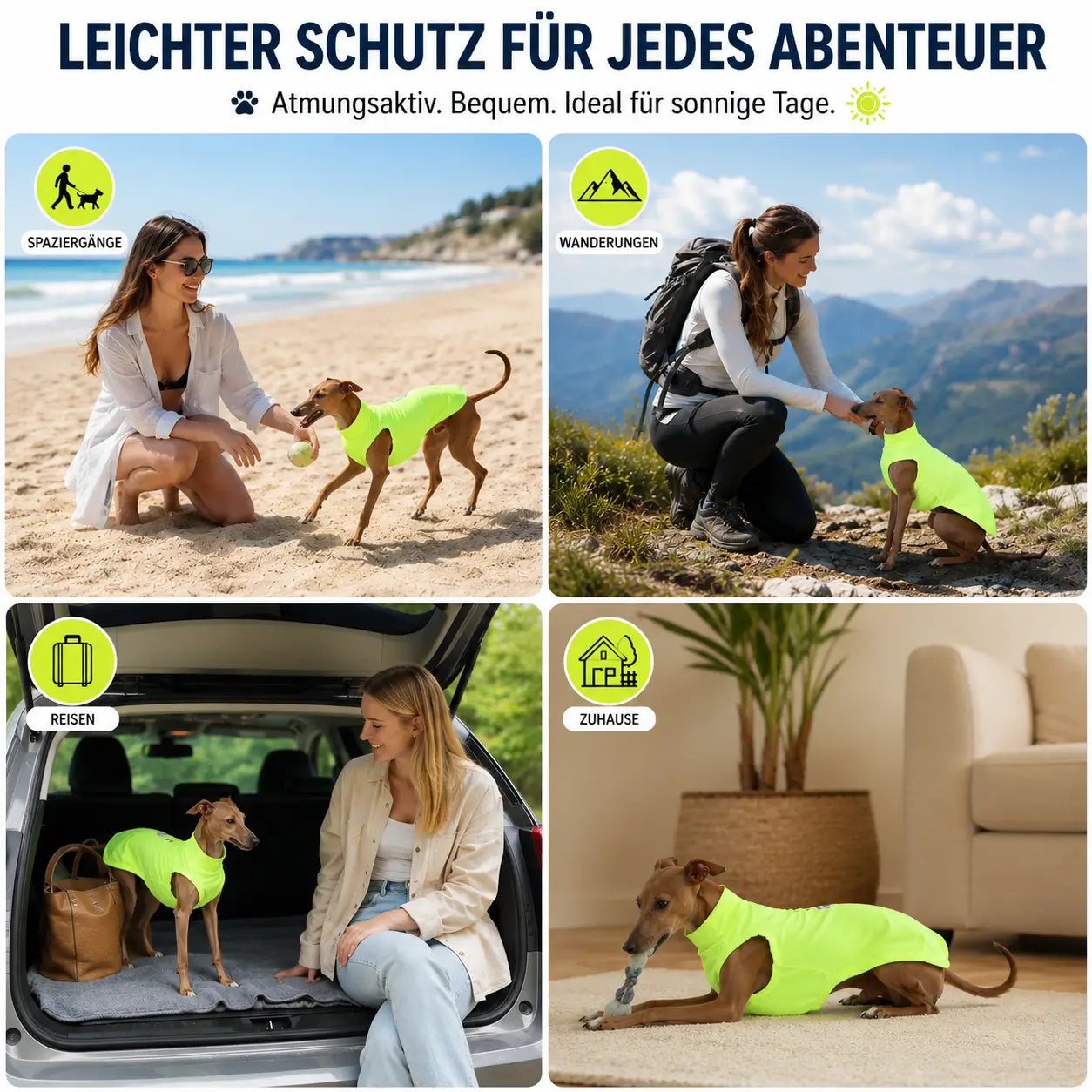 Hundeshirt Anwendungsszenarien 