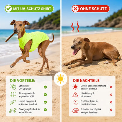 Hundeshirt Problem & Lösung