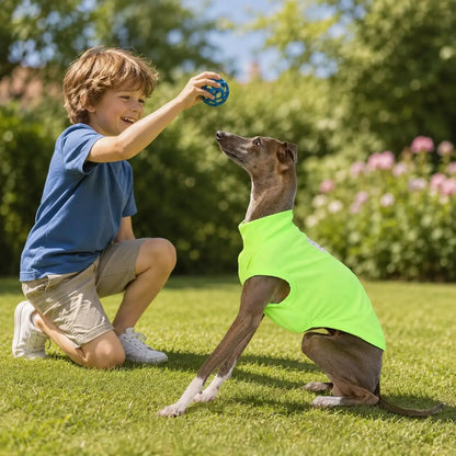 Hundeshirt spielen 