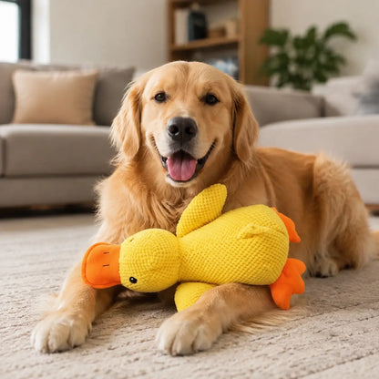 Hundespielzeug Ente Hauptbild