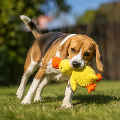 Hundespielzeug Ente Lifestyle-Bild