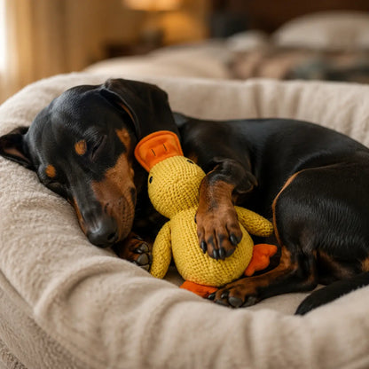 Hundespielzeug Ente Lifestyle-Bild