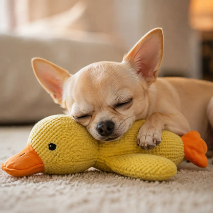 Hundespielzeug Ente Lifestyle-Bild