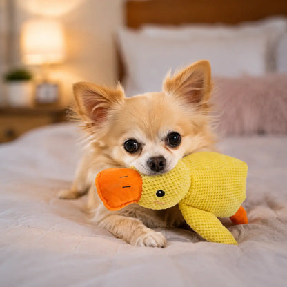 Hundespielzeug Ente Lifestyle-Bild