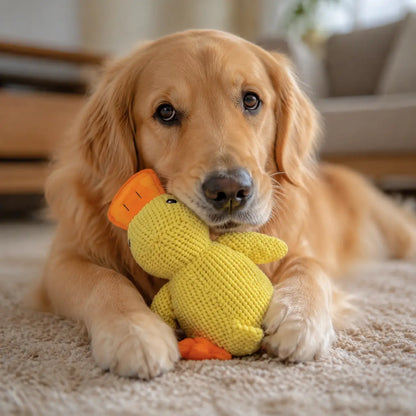 Hundespielzeug Ente Lifestyle-Bild