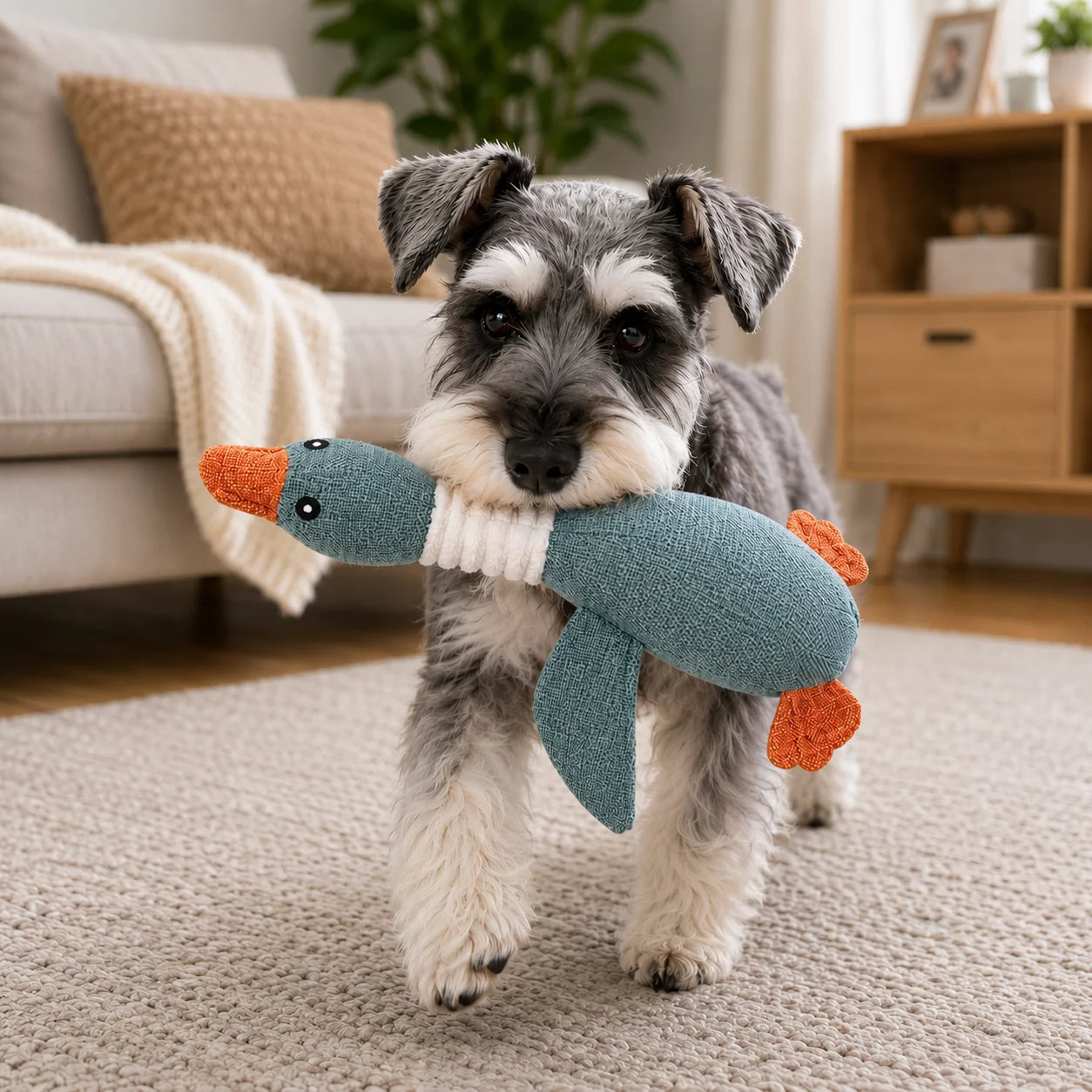 Hundespielzeug Lifestyle-Bild