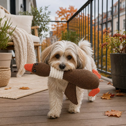 Hundespielzeug Lifestyle-Bild