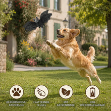Hundespielzeug_Katzenspielzeug Produktmerkmale 
