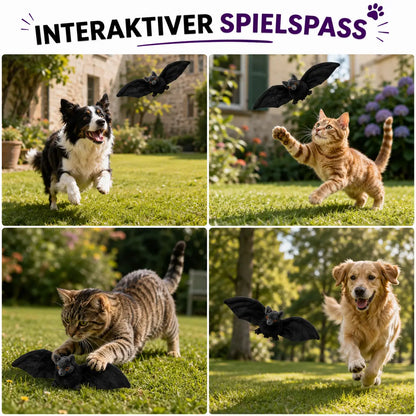Hundespielzeug_Katzenspielzeug  Anwendungsszenarien 