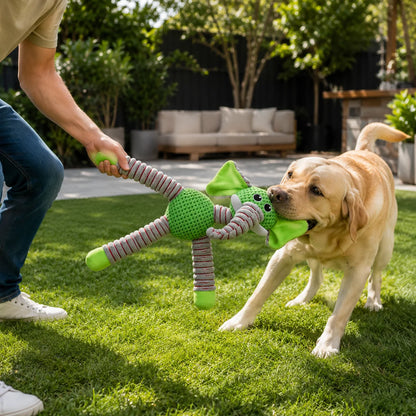 Hundespielzeug_Pl_sch Lifestyle-Bild