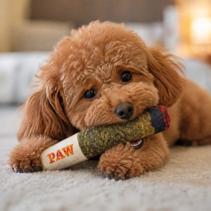 Hundespielzeug Zigarre Hauptbild