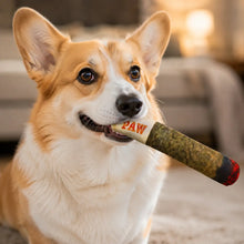 Hundespielzeug Zigarre Lifestyle-Bild 