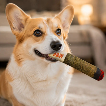 Hundespielzeug Zigarre Lifestyle-Bild 