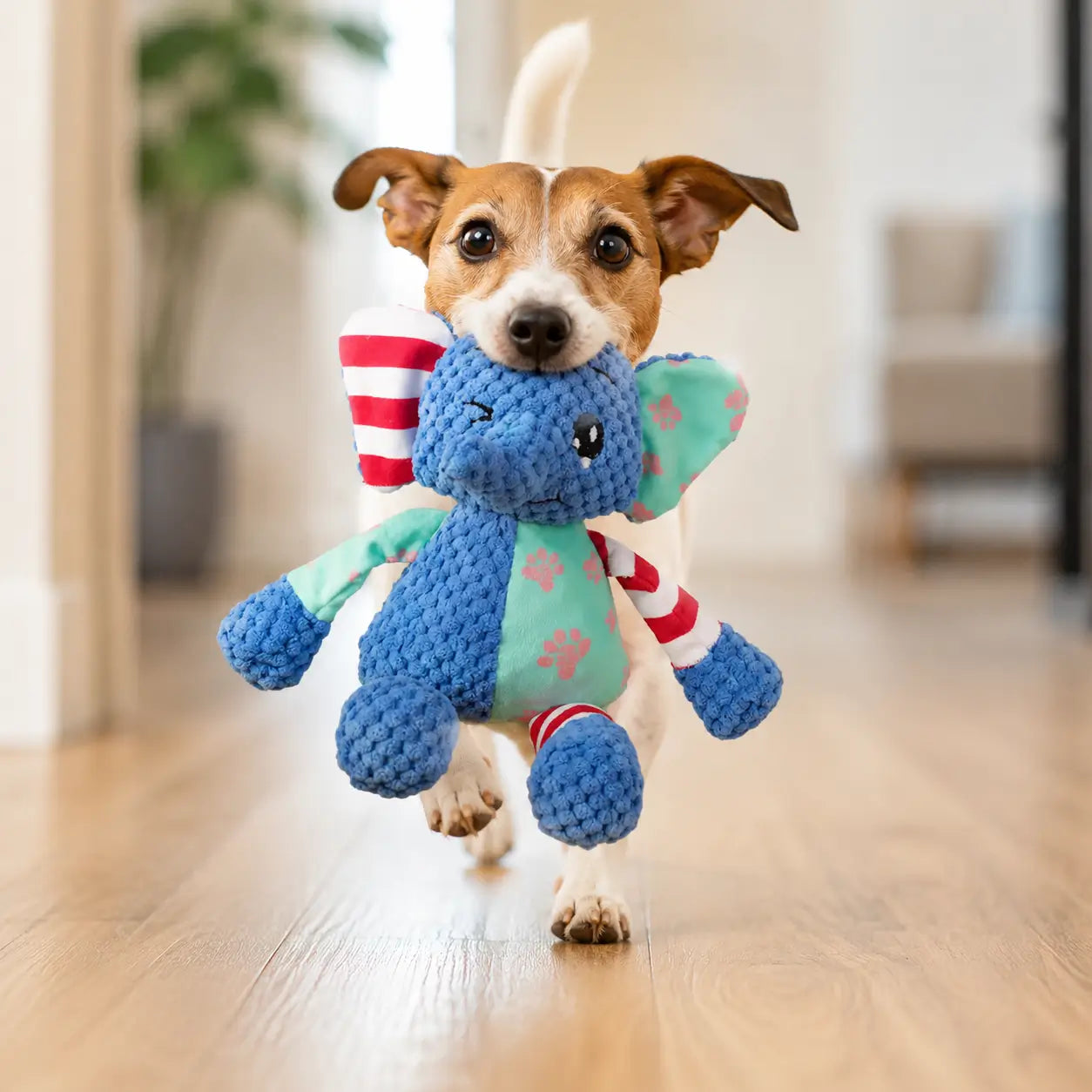 Hundespielzeug mit Quietschfunktion Lifestyle-Bild