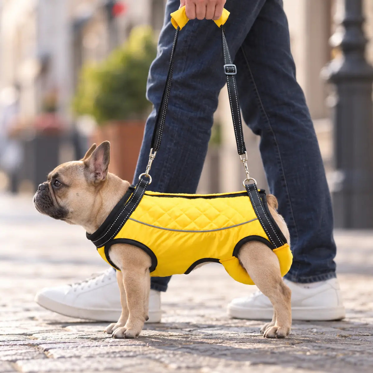 Hundetragehilfe