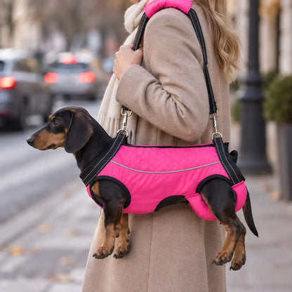 Hundetragehilfe
