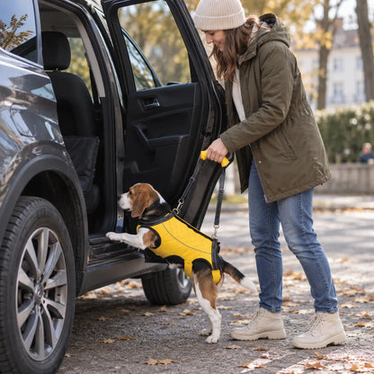 Hundetragehilfe