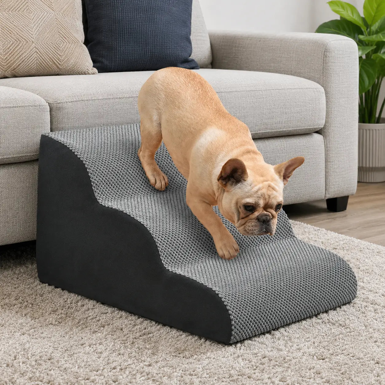 HundetreppeHauptbild 