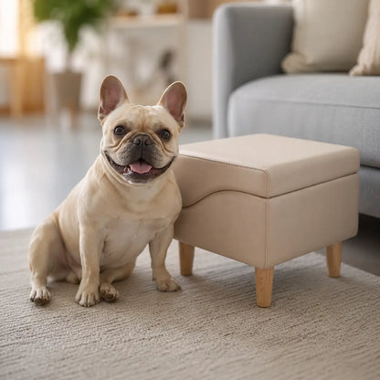Hundetreppe faltbar Lifestyle-Bild
