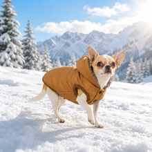 Hundewinterjacke Hauptbild