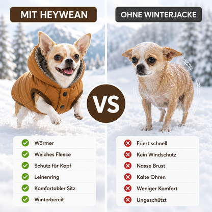 Hundewinterjacke Problem & Lösung