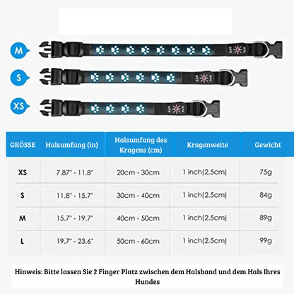 SicherLeuchter – Das LED-Hundehalsband für Nachtspaziergänge & Sichtbarkeit