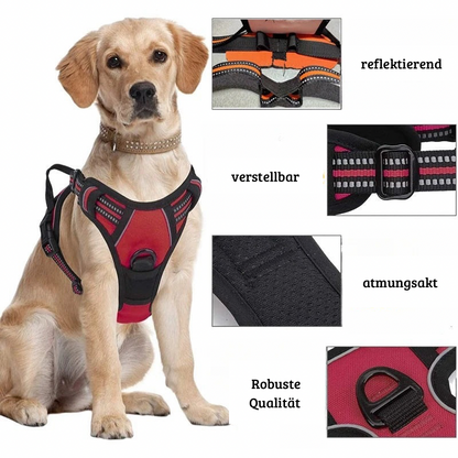 AlphaMove – Das taktische Hundegeschirr für aktive Vierbeiner