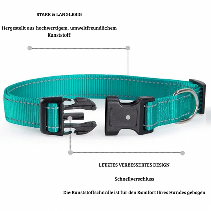SicherLeucht – Reflektierendes, Hundehalsband aus Nylon für Spaziergänge bei Tag & Nacht
