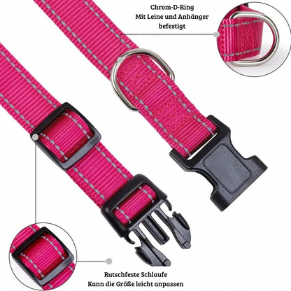SicherLeucht – Reflektierendes, Hundehalsband aus Nylon für Spaziergänge bei Tag & Nacht