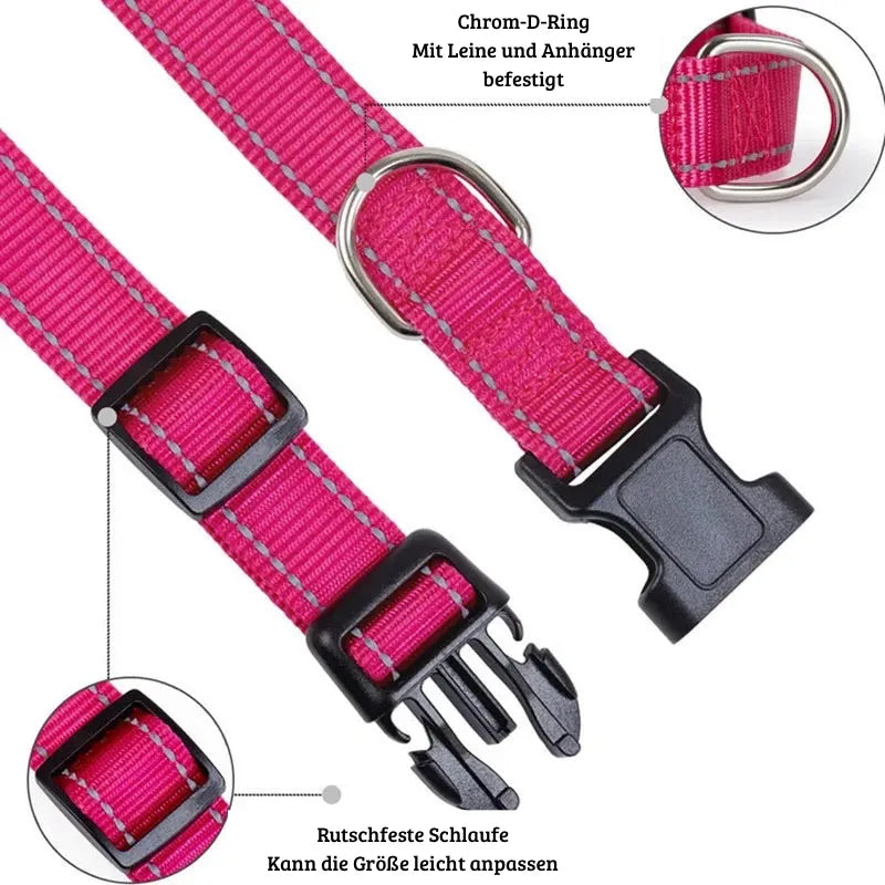 SicherLeucht – Reflektierendes, Hundehalsband aus Nylon für Spaziergänge bei Tag & Nacht