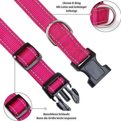 SicherLeucht – Reflektierendes, Hundehalsband aus Nylon für Spaziergänge bei Tag & Nacht