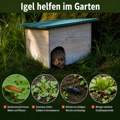 Igelhaus Vorteile 