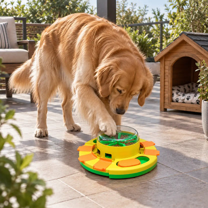 Intelligenzspielzeug für Hunde Lifestyle-Bild