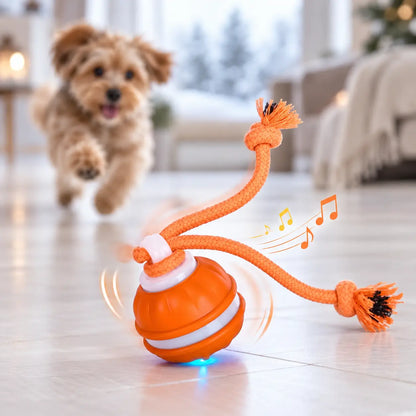 Hundespielzeug