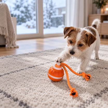 Hundespielzeug